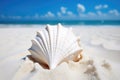 a close-up of a vibrant, detailed seashell in white sand