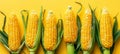 Close up of vibrant fresh sweet corn background with golden kernels for stunning visuals