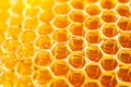 Close-up of vibrant honeycomb structure filled with golden honey, showcasing natural texture and pattern.