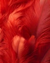 Vibrant Red Feathers Texture Background. Soft. Royalty Free Stock Photo