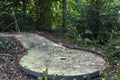 Close up view on abandoned of minigolf course from fiber cement in Schlossberg in Freiburg am Breisgau i