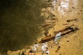 Close up view from above of polluted dirty muddy water with debris, garbage and plastic.