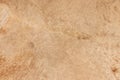 Close up view of abstract surface brown genuine leather of old drum background or texture Royalty Free Stock Photo