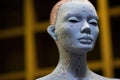 close up view of acupuncture dummy showing meridian points Royalty Free Stock Photo