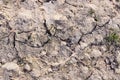 Close up view on an agricultural field with a dry texture Royalty Free Stock Photo