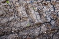 Close up view on an agricultural field with a dry texture Royalty Free Stock Photo