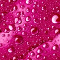 A Close-Up View of Aloe Vera Cosmetic Texture with Dewy Drops in Trendy Viva Magenta. AI Generated. Royalty Free Stock Photo