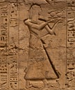 Close up View of Ancient Egyptian hieroglyph writings on Temple wall Royalty Free Stock Photo