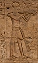 Close up View of Ancient Egyptian hieroglyph writings on Temple wall Royalty Free Stock Photo