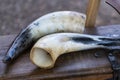 animal drinking horn