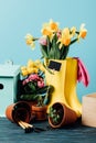 Close Up View Of Arranged Rubber Boots With Flowers, Flowerpots, Gardening Tools And Birdhouse On Wooden Tabletop