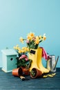 close up view of arranged rubber boots with flowers, flowerpots, gardening tools, watering can and birdhouse on wooden tabletop