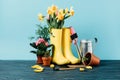 close up view of arranged rubber boots with flowers, flowerpots, gardening tools on wooden tabletop on blue Royalty Free Stock Photo