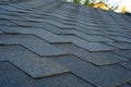 Close up view on Asphalt Bitumen shingles roof