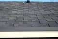 Close up view on Asphalt Roofing Shingles Background. Roof Shingles - Roofing. Bitumen tile roof Royalty Free Stock Photo