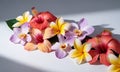 Assorted Tropical Flowers Arrangement with Hibiscus Plumeria and Orchids on White Surface with Royalty Free Stock Photo