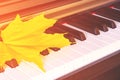 Close up view of autumn yellow leaf on piano keys Royalty Free Stock Photo