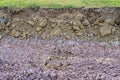 Background of the cross-sectional surface of the basement, which has been demolished Royalty Free Stock Photo