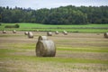 Close up view of bales of mown hay on green forest trees background. Royalty Free Stock Photo