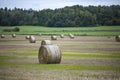 Close up view of bales of mown hay on green forest trees background. Royalty Free Stock Photo