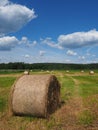 Close up view of the bales of straw lying after the harvest in the field during the summer with no people with clouds