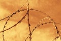 Close-up view of a barbed wire