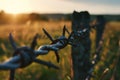 Close up view of a barbed wire fence. Suitable for illustrating security, boundaries, or obstacles. Can be used in Royalty Free Stock Photo