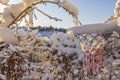 Close-up view of basketball hoop in backyard of villa covered in snow on frosty, sunny winter day. Royalty Free Stock Photo