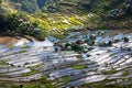 Close up view on the Batad village, Philippines Royalty Free Stock Photo