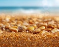 Close-Up View of Beach Sand Grains and Shells with a Vibrant Ocean Background, Capturing the Essence of a Tropical Paradise The