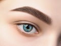 Close up view of beautiful blue female eye Royalty Free Stock Photo