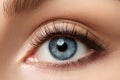 Close up view of beautiful blue female eye Royalty Free Stock Photo