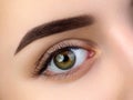 Close up view of beautiful brown female eye Royalty Free Stock Photo