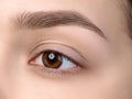 Close up view of beautiful brown female eye Royalty Free Stock Photo