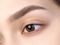 Close up view of beautiful brown female eye Royalty Free Stock Photo