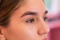 Close up view of beautiful brown female eye. Perfect trendy eyebrow. Good vision, contact lenses, brow bar or fashion eyebrow Royalty Free Stock Photo