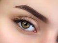 Close up view of beautiful brown female eye Royalty Free Stock Photo