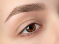 Close up view of beautiful brown female eye Royalty Free Stock Photo