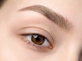 Close up view of beautiful brown female eye Royalty Free Stock Photo