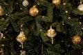 Close up view of beautiful fir branches with shiny golden bauble or ball, xmas ornaments and lights, Christmas holidays Royalty Free Stock Photo