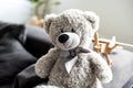 close-up view of beautiful grey teddy bear Royalty Free Stock Photo