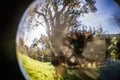 Close up view on beautiful landscape trees in blue sky and green meadow through lens ball sphere, france Royalty Free Stock Photo