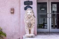 Close-up view of a beautiful sculpture of a lion near the entrance door against a pink wall background.