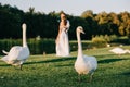 close-up view of beautiful swans on green grass and young wedding couple standing behind