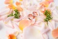 Close-up view of beautiful wedding composition with golden rings and rose petals Royalty Free Stock Photo