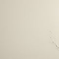Close-up view of a beige wall with visible peeling paint on the right side. The surface Royalty Free Stock Photo