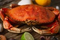 Close-up view of big coked crab served with lime, lemon and seashells on rustic wooden background. Seafood concept. Delicious meal