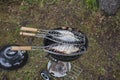 Close up view of  big  fishes on grill isolated. Food background. Royalty Free Stock Photo