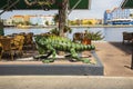 Close up view of big green iguana figure as decoration of outdoor restaurant. St.Anna Bay and colorful buildings on background.