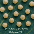 Biodegradable Fertilizer Microcapsules on Leaf with Zinc 0.5% and Iron 0.7% Release Over 21 Days Royalty Free Stock Photo